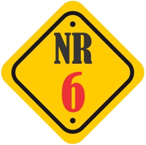 NR 6